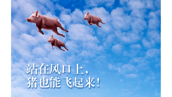 企業迅速擴張，究竟是好是壞？